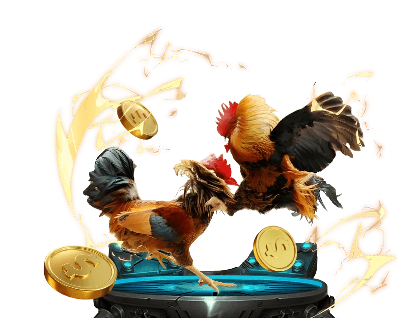 Hình ảnh quy tắc và tính minh bạch của vin777